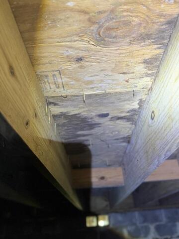 Crawl Space Moisture Damage