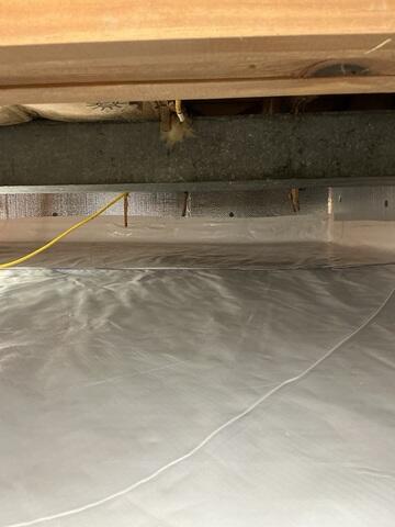 Transformed Crawl Space