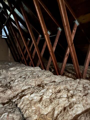 Mold Treatment & Remove Insulation