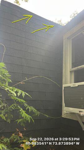 Missing Gutters