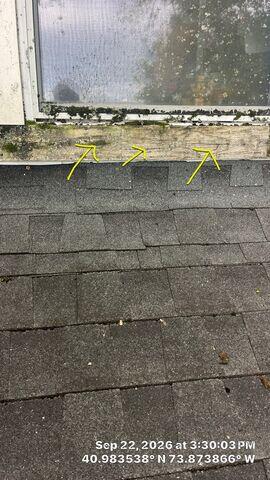 Window Trim Rot