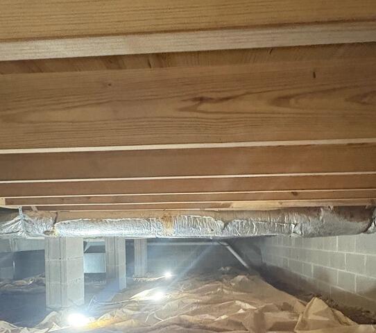 Mold Treated