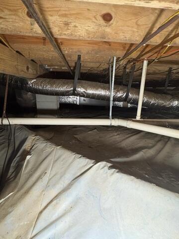 Mold and Mildew Issues