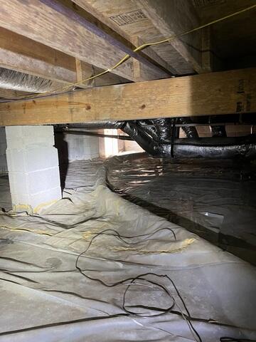 Can a moldy crawl space make me sick?