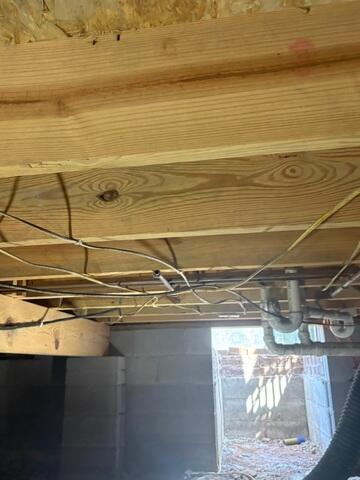 Treating Mold Growth