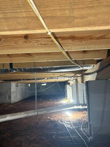 Before Mold Treatment