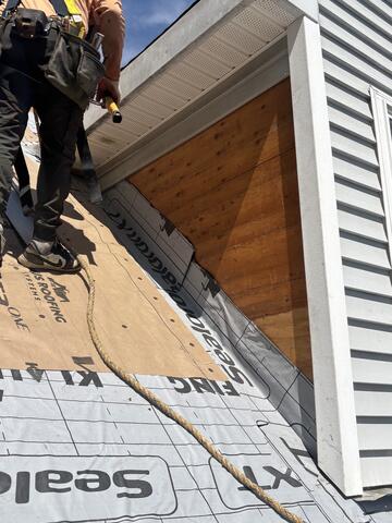 Protecting and Repairing the Dormers