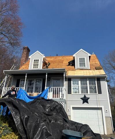 Repairing the Roof Deck