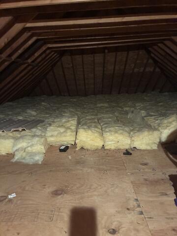 Mice Ruined the Insulation