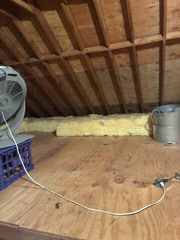 Mice Tunnels Too