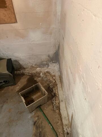 Water Damage