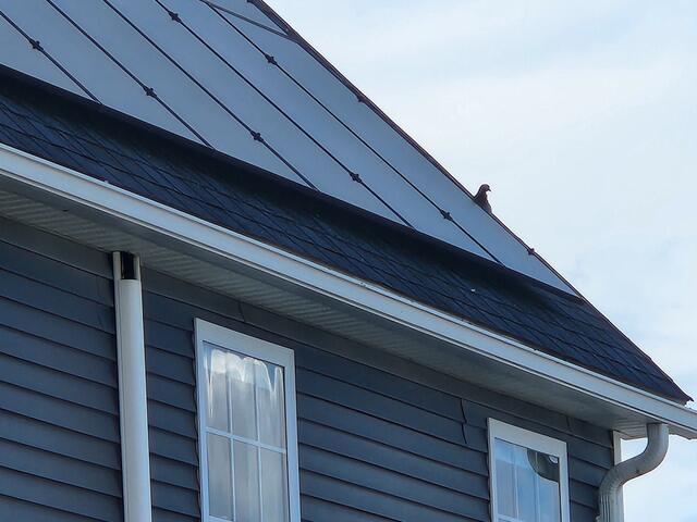 Pigeons Nesting Under the Solar Panels