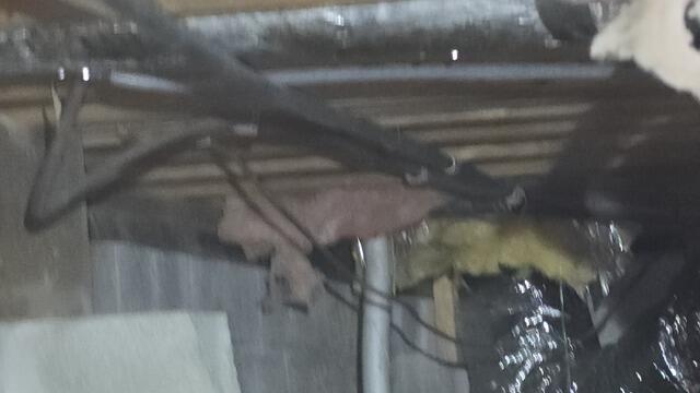 Crawl Space During Inspection