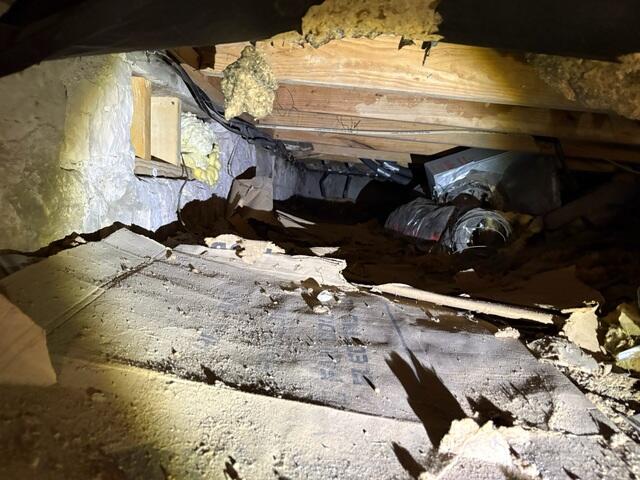 Insulation Failure