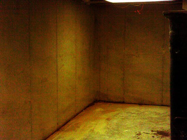 Dark, Damp Basement