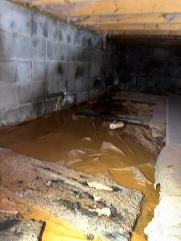 Wet Crawl Space During Inspection