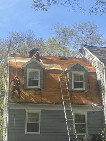 Installing New CDX Plywood