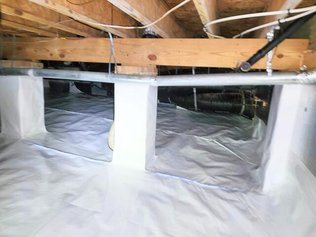 CleanSpace Separates the House from the Earth
