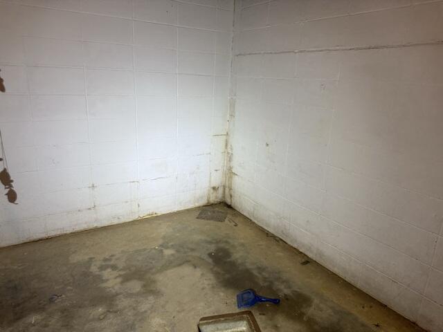 Troubled Basement