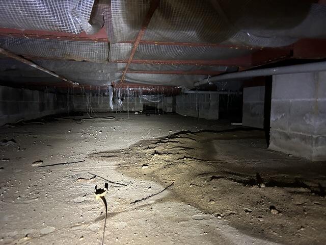 Before Crawl Space Encapsulation