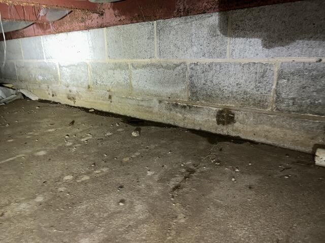 Before Crawl Space Encapsulation