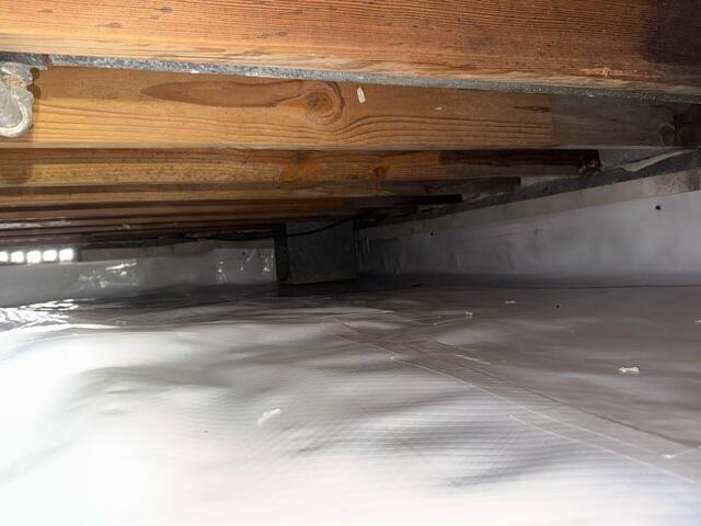 CleanSpace Moisture Barrier