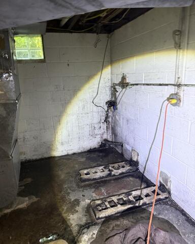 Dark and Musty Basement Corners