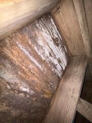 Mold