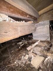Wood rot