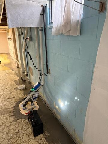 Triple Safe Sump Pump