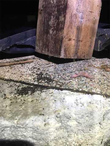 Tilting of Subfloor Posts
