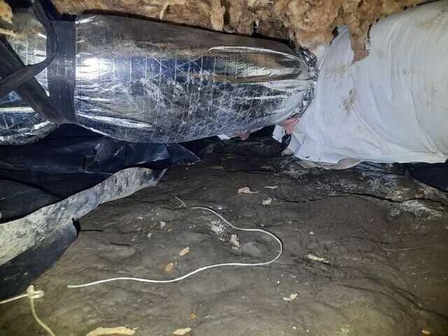 Exposed Ground