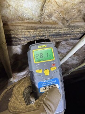Wood Moisture Reading