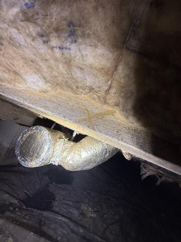Mold on Wooden Floor Joists