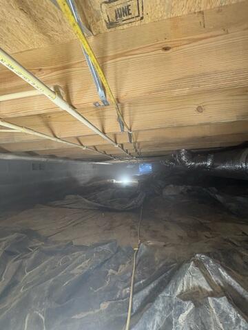 Mold Removal Complete