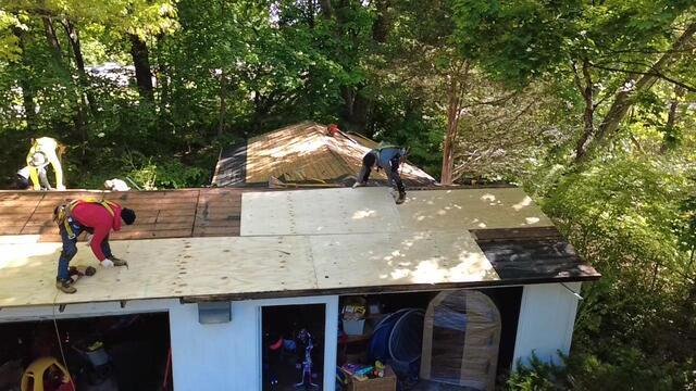 Reinforcing the Roof with New CDX Plywood
