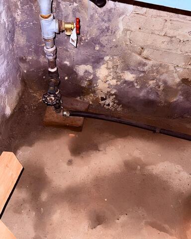 Damp and Dark Corners of the Basement
