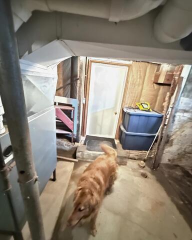 A Basement Tour Guide