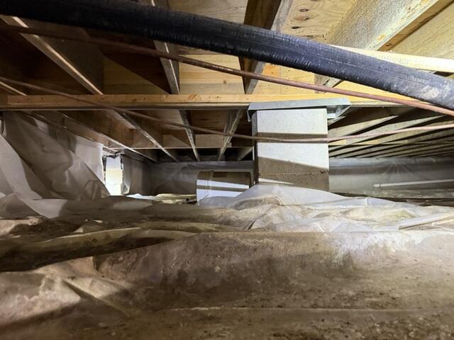 Moldy Crawl Space