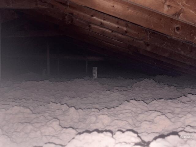 TruSoft Cellulose insulation