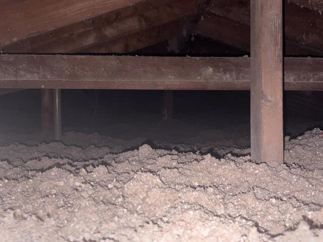 TruSoft Cellulose Insulation