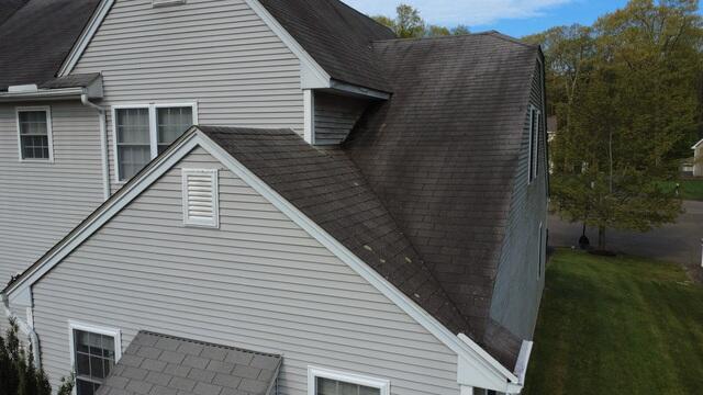 Algae and Lichen on the Aging Shingles