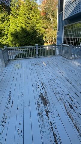 White Vinyl Railing & Deck Restoration