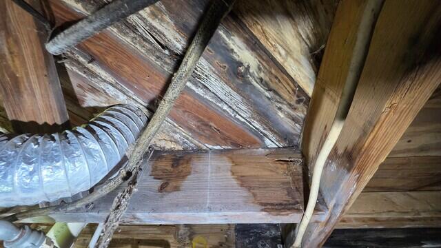 Crawl Space Moisture Damage