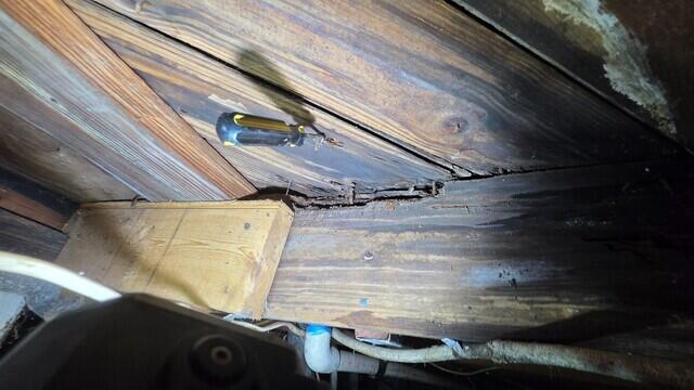 Crawl Space Wood Damage