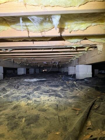 Nasty Crawl Space!