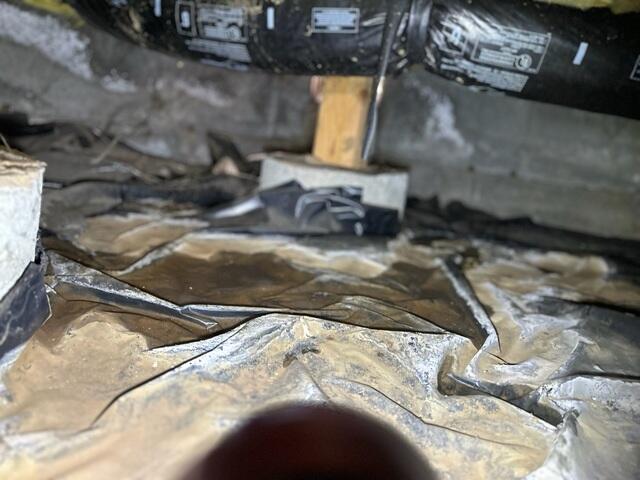 Stagnant Water