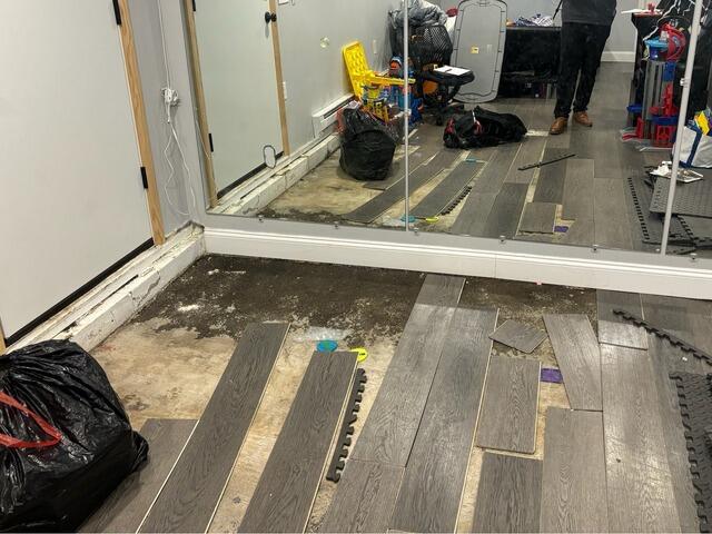 Damaged Finish Basement
