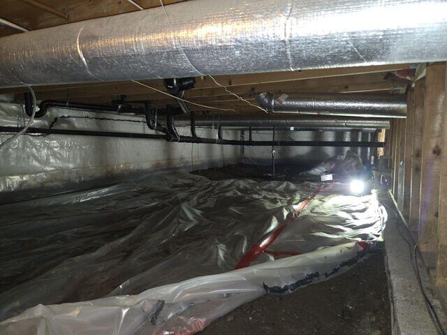 Dirty, Musty Crawl Space