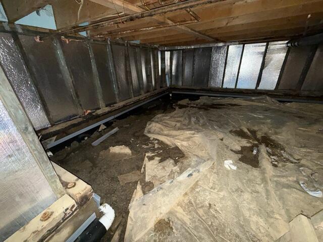 Swampy Crawl Space